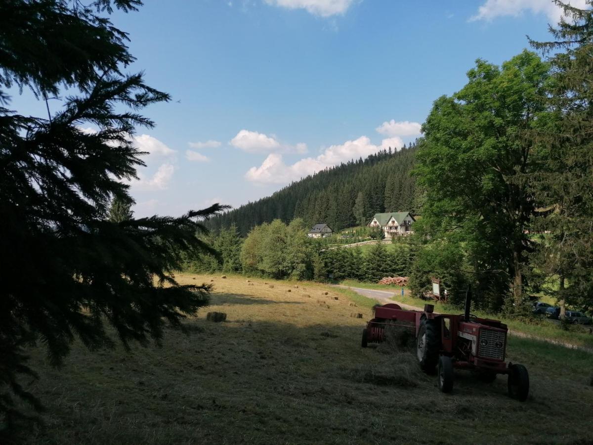 Gosciniec Janowa Gora - Agroturystyka Строне-Шльонське Екстер'єр фото