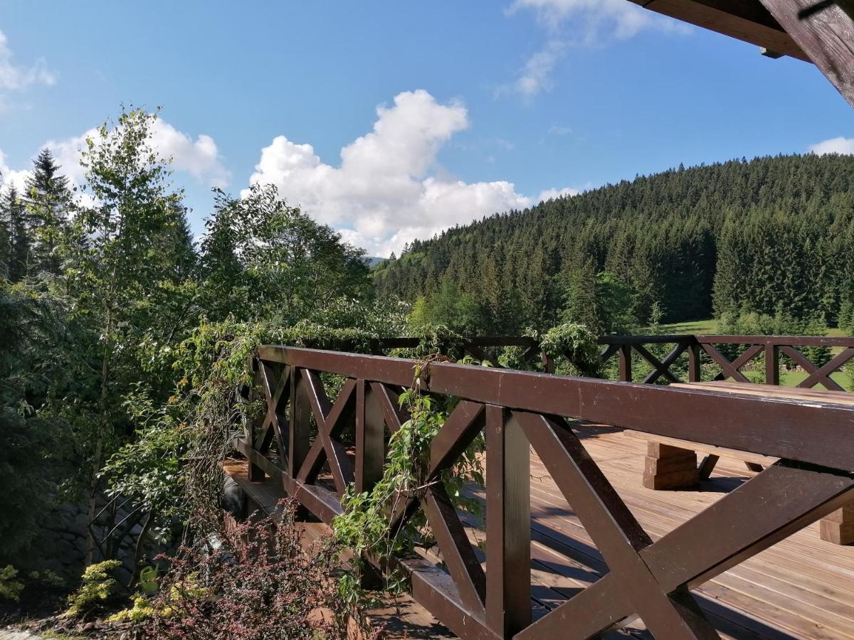 Gosciniec Janowa Gora - Agroturystyka Строне-Шльонське Екстер'єр фото