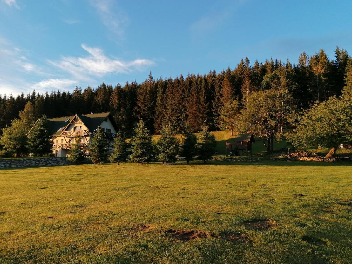 Gosciniec Janowa Gora - Agroturystyka Строне-Шльонське Екстер'єр фото