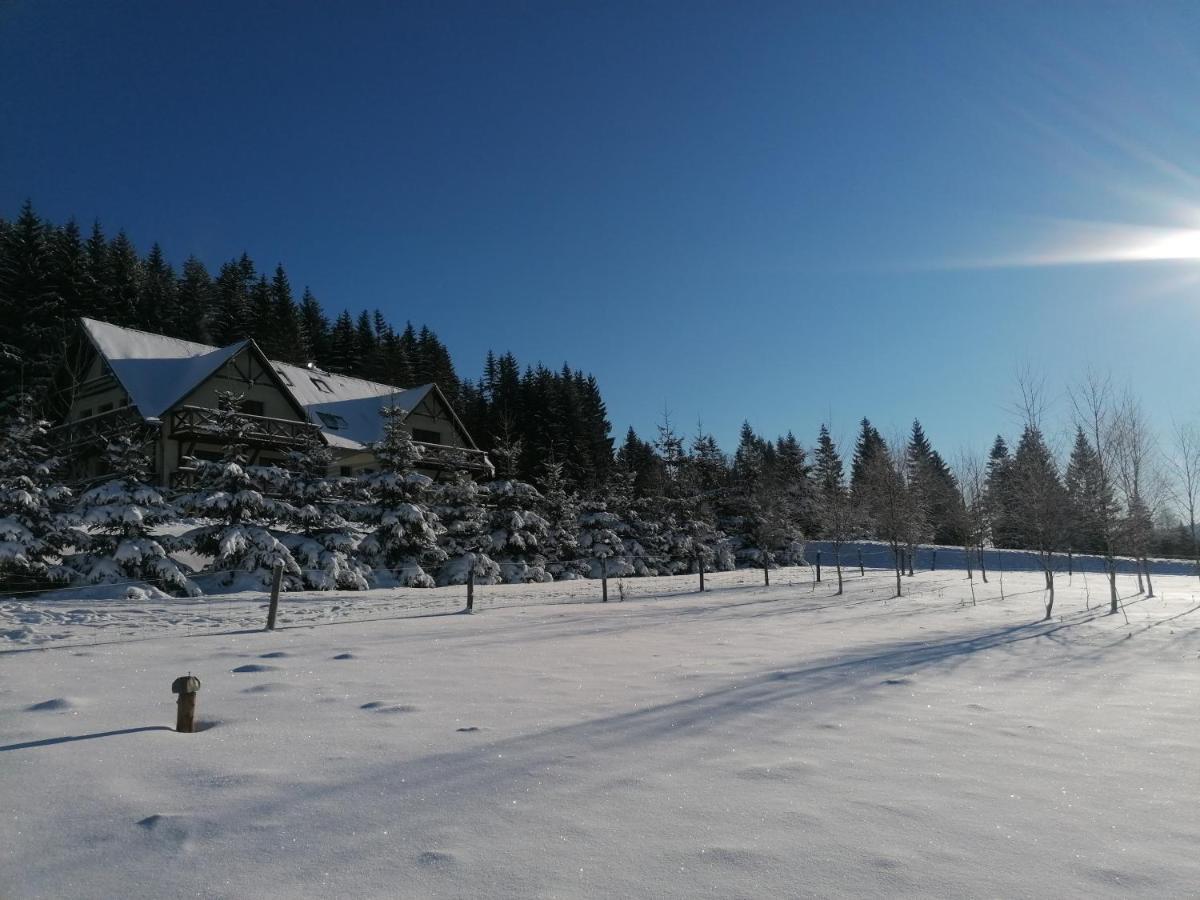 Gosciniec Janowa Gora - Agroturystyka Строне-Шльонське Екстер'єр фото