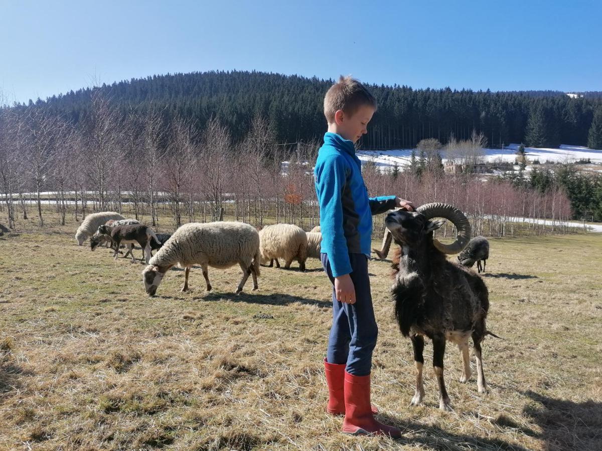Gosciniec Janowa Gora - Agroturystyka Строне-Шльонське Екстер'єр фото