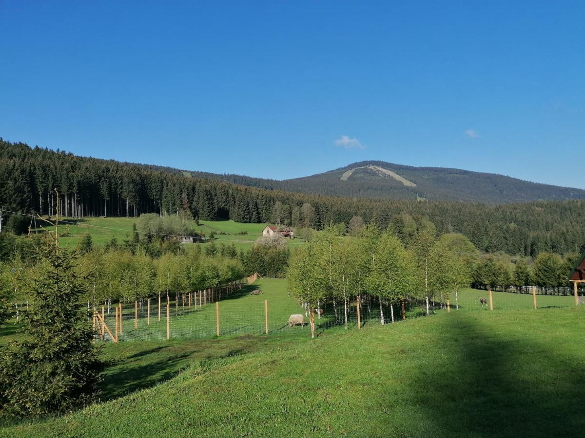 Gosciniec Janowa Gora - Agroturystyka Строне-Шльонське Екстер'єр фото