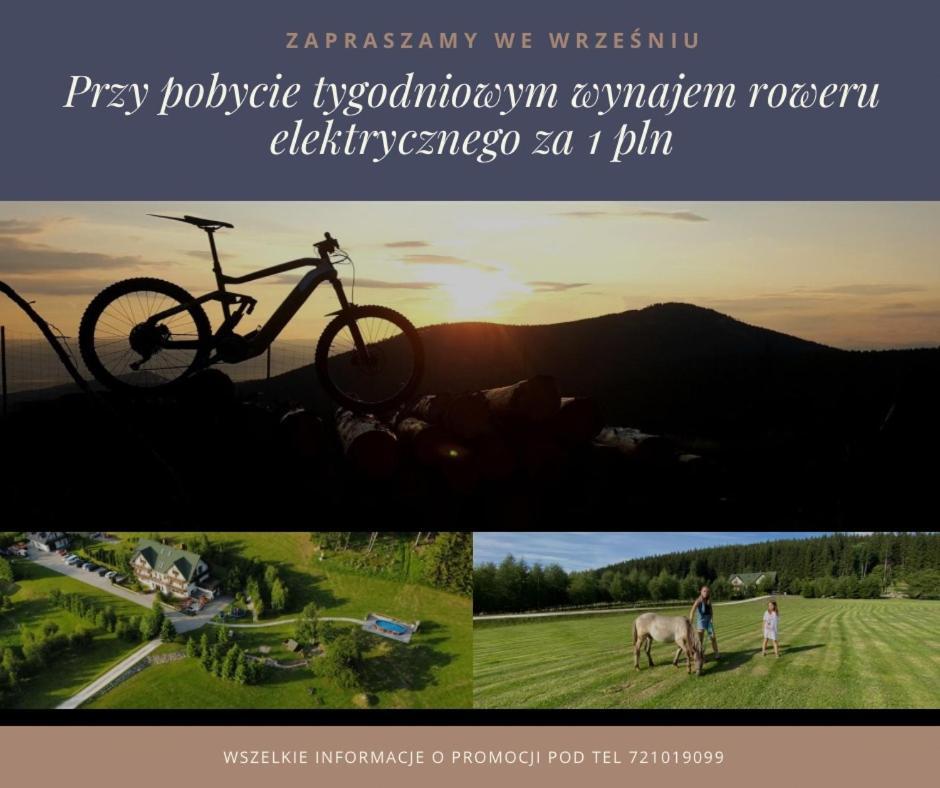 Gosciniec Janowa Gora - Agroturystyka Строне-Шльонське Екстер'єр фото